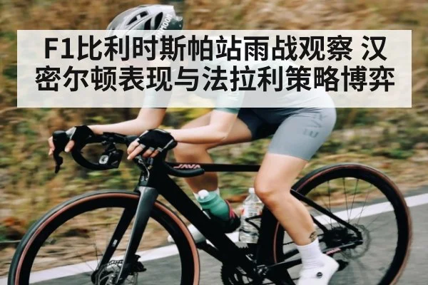 F1比利时斯帕站雨战观察 汉密尔顿表现与法拉利策略博弈